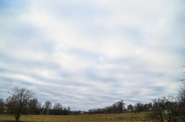 Fototapeta premium spring sky