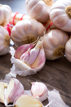 New harvest french pink and violet garlic braid from Tarn
