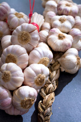New harvest french pink and violet garlic braid from Tarn