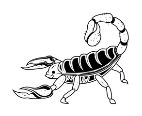 Scorpion Vector