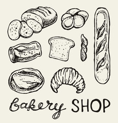 Fresh baked bread. Hand drawn doodle for bakery shop. 