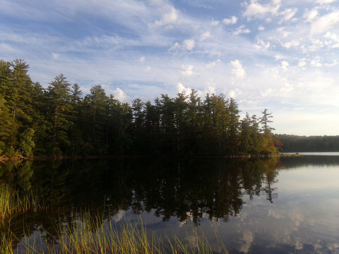 Tree lined water front right before sunset, trees reflected on the water. Western Maine, September 2017.