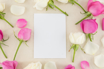 Blank white card decorated with white and pink roses on white muslin fabric with copy space