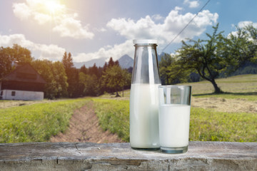 Milk glass and milk jug on the chamomile meadow pasture background in the Alps mountains, Switzerland