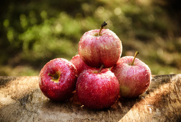 Red apples in the garden on the table