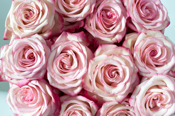 Obraz na płótnie Canvas Rosen, Grußkarte rosa Blumenstrauß