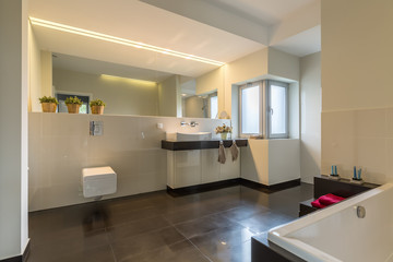 Spacious bathroom designed with style
