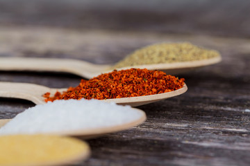 Aromatic spices on wooden spoons. Food ingradients.