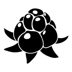 Wild raspberry icon, simple style