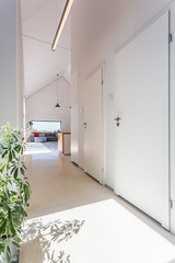 Bright white corridor with plant