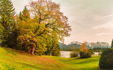 pittoreske Herbstlandschaft in den Alpen