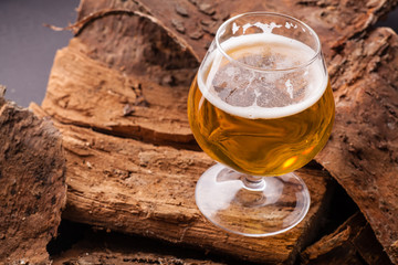 Light beer on bark