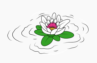 Water Lily Flower  - clip-art vector illustration