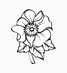 Flower Drawing Vector Illustration