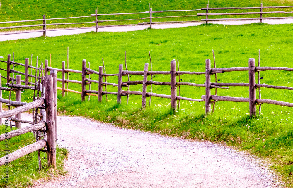 Wall mural old fence