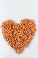 Concept groundnuts isolated white background