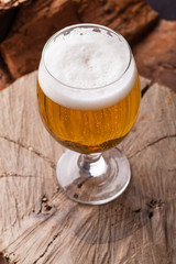 Light beer on stump