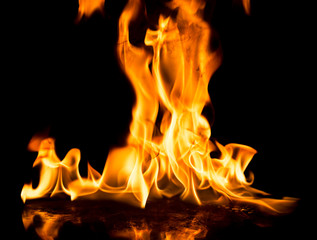 Fototapeta premium Fire flames