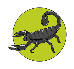 Scorpion Vector Illustration