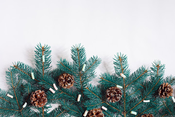 Green Christmas fir tree branches with cones isolated on white background.