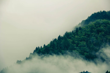 Foggy mountain
