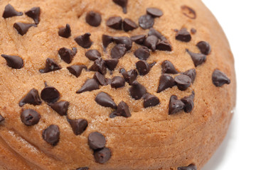Chocolate Chips Coffee Bun isolated on white background