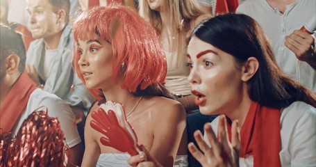 Fans cheering for sports team