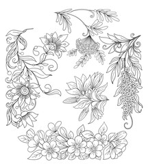 Set of spring flowers. Stock line vector illustration. 
