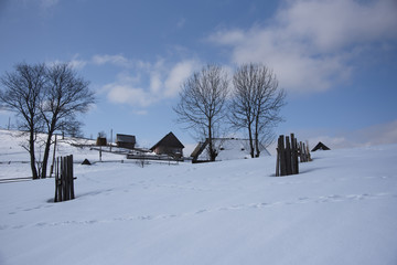 Winter landscape. Village with old wooden houses and trees in Carpathians