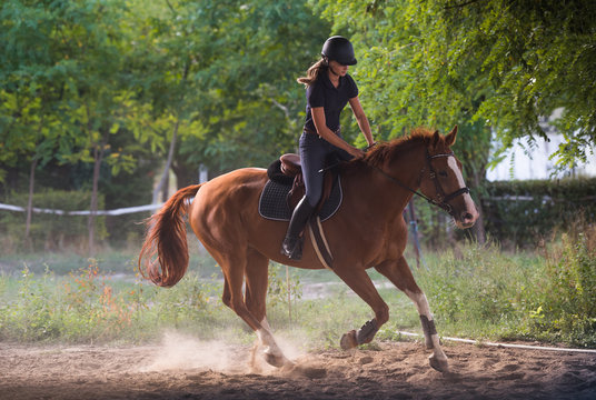Young pretty girl riding a horse with backlit leaves behind