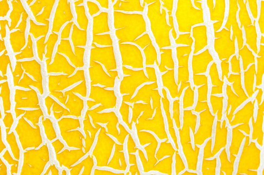Skin melon closeup. Melon texture.