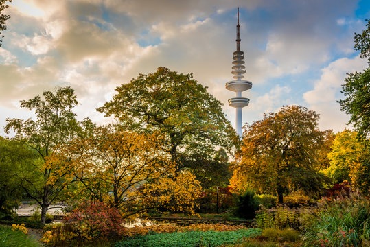 Television tower in autumn park scene
