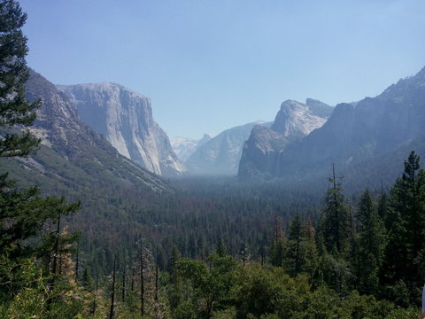 Fototapeta Yosemite