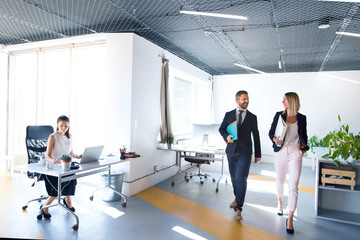 Business people in the office working.
