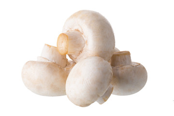 White champignon mushrooms, Champignon Isolated on White Background