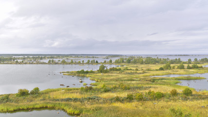 Beautiful view over fall colored grasslands by the sea. Natural background.