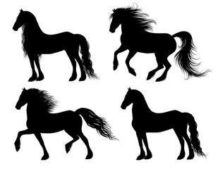 Set of 4 friesian horse silhouettes, different allures