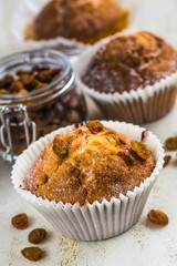 chocolate muffins in paper cupcake holder