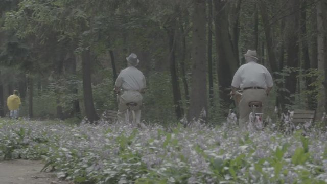 Two old men ride bicycles in the park - Slog3 scene