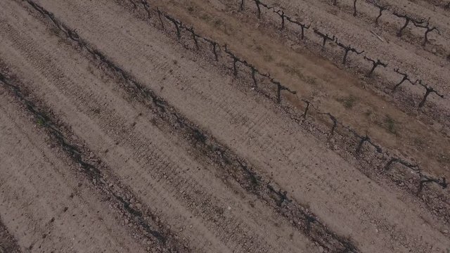 Vi&ntilde;a vista aerea