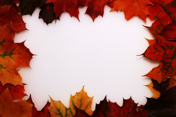 Naklejka na ściany i meble Frame of autumn maple orange, red, yellow leaves on a white background