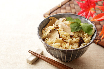 松茸ご飯　Rice cooked with matsutake mushroom