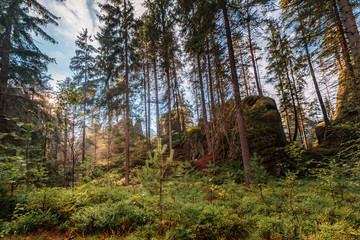 Rocky city in Adrspach 