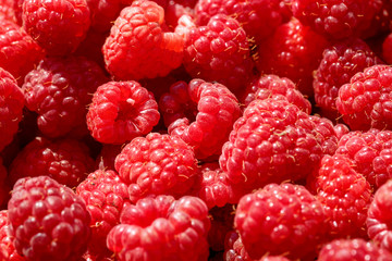 fresh berries red raspberry close up.