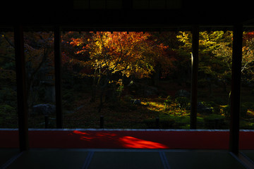 京都　圓光寺の日本庭園の紅葉　その５
Kyoto Autumn Landscape at Enkouji No.7