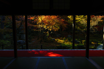京都　圓光寺の日本庭園の紅葉　その４
Kyoto Autumn Landscape at Enkouji No.6