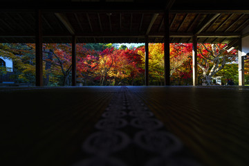 京都　圓光寺の日本庭園の紅葉　その３
Kyoto Autumn Landscape at Enkouji No.5