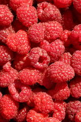 fresh fruits organic raspberry close up .