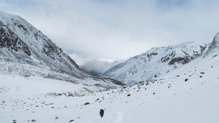 Adventure to mountains