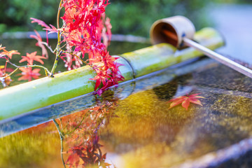 Obraz premium Kioto Jesienny krajobraz Butelka wody i jesienne liście Część 2 Kioto Jesienny krajobraz nr 3